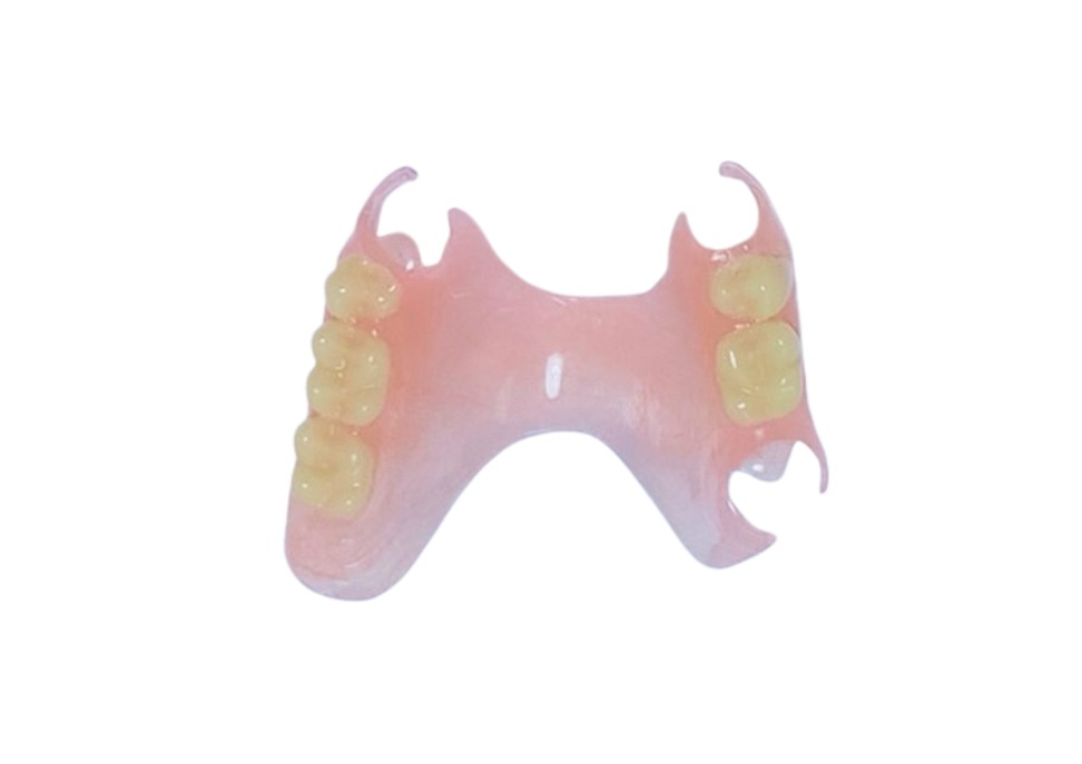Vertex ThermoSens partial denture
